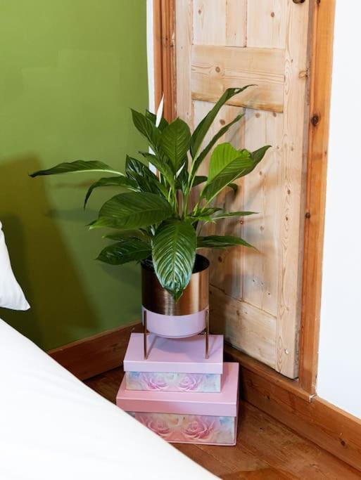Cosy Cottage In Central Reading Free Parking & Fast Wifi מראה חיצוני תמונה